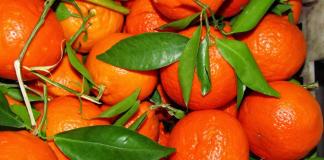 การแช่ส้มเขียวหวาน - สูตรที่ดีที่สุดสำหรับผักดอง'якоті цитрусових