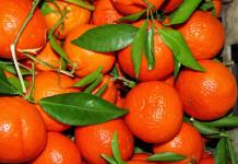 Infuzie pe mandarine - cele mai bune rețete de la kirok și m'якоті цитрусових