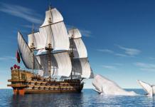 ลูกเรือที่ได้พบกับ Moby Dick ต้องทนกับอะไร: ความจริงทั้งหมดเกี่ยวกับ Moby Dick ผู้ล้างแค้นวาฬขาวนั้นมีพื้นฐานมาจากเหตุการณ์จริง