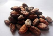 Какао боби: корисні властивості
