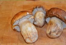 Ungeți ciupercile în borcane pentru iarnă