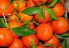 Infuzie de mandarine - cele mai bune retete de muraturi'якоті цитрусових